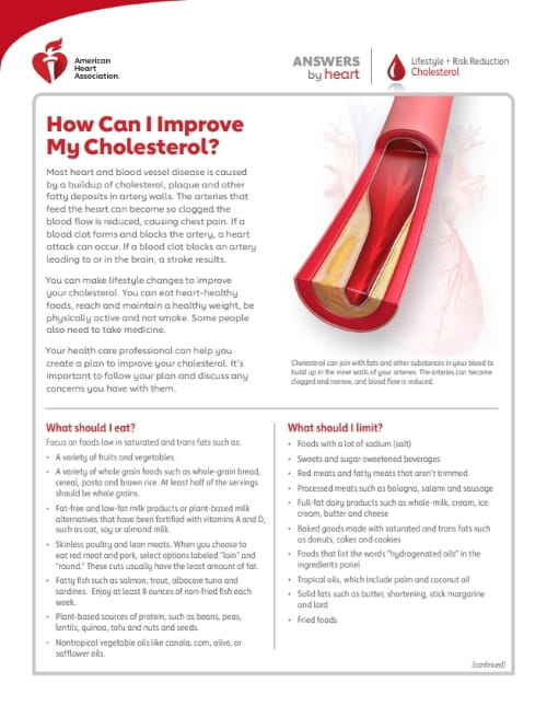 How Can I Improve My Cholesterol? infographic
