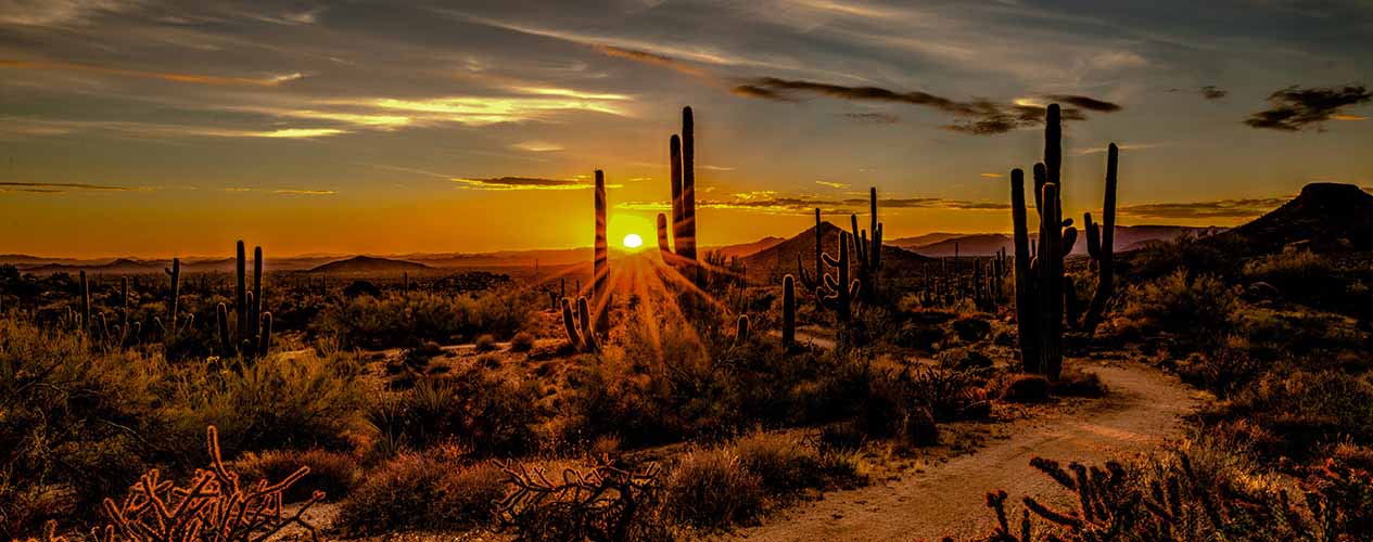 Arizona Tobacco Free Futures