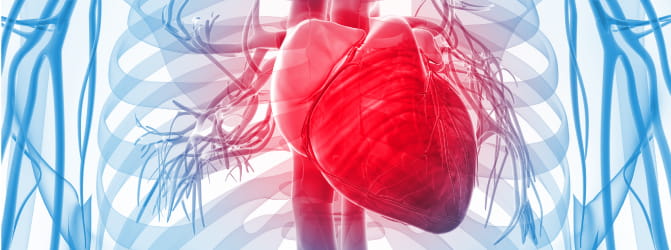 Heart Health – Cardiac Disease & Stroke – Idaho Commission on Aging