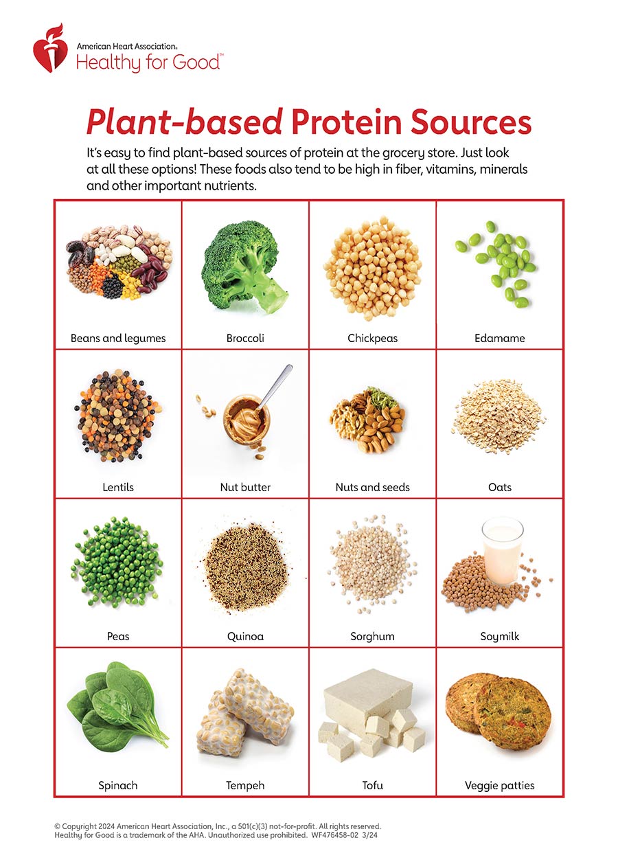 Plant based Protein Infographic American Heart Association