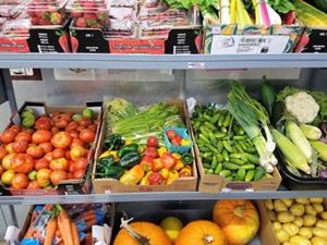 fresh fruit and veggies in boxes