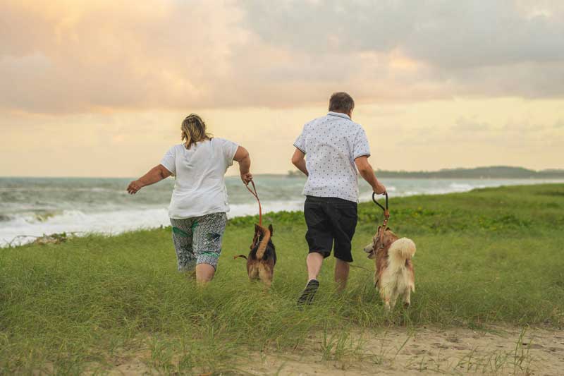 couple walking dogs by beach