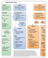 HF Guidelines Algorithm thumbnail