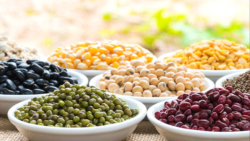 The Benefits of Beans and Legumes