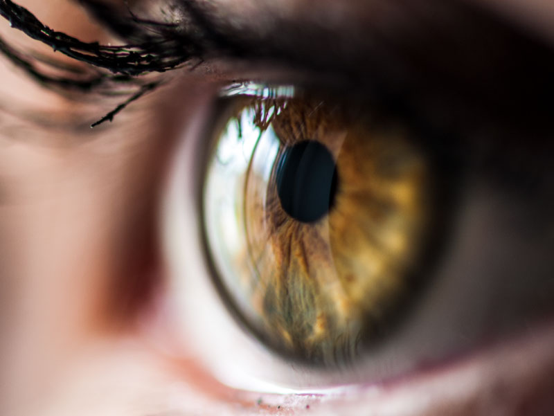 How is it possible that I have blue eyes when my father has brown and my  mother green? - The Tech Interactive