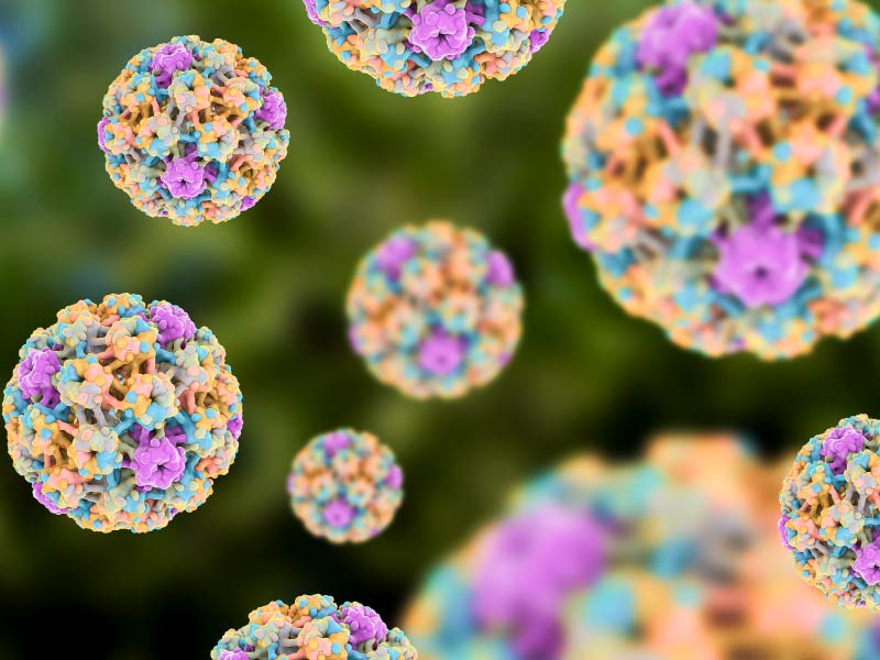 HPV virus. (Kateryna Kon/Science Photo Library, Getty Images)