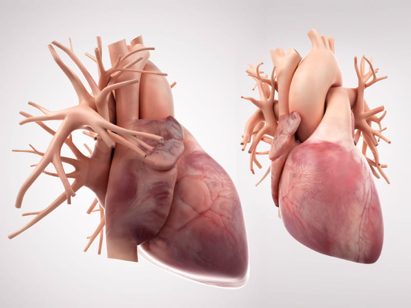 8 things that can affect your heart – and what to do about them
