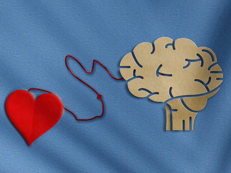 After a Heart Attack, the Heart Signals to the Brain to Increase Sleep to Promote Healing