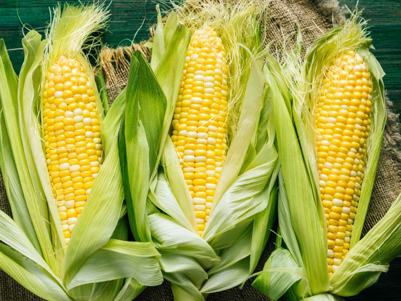 Vayamos al grano: el maíz puede agregar un elemento crujiente y saludable a  su parrillada | American Heart Association