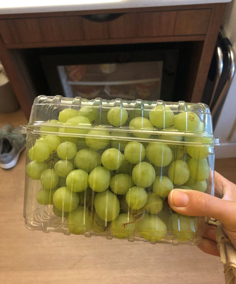 Theresa Gentile stocked her hotel room with fresh fruit when her family visited Walt Disney World in 2021. (Photo courtesy of Theresa Gentile)