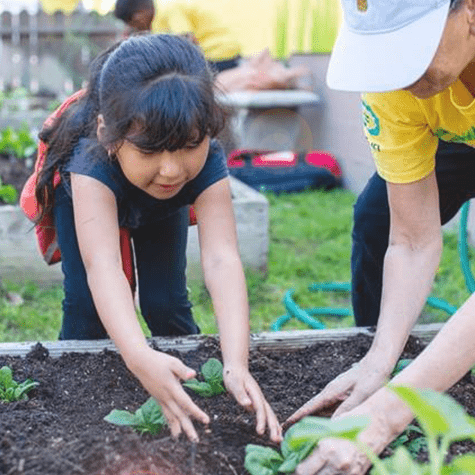 Teaching Gardens Network Grant Program American Heart Association