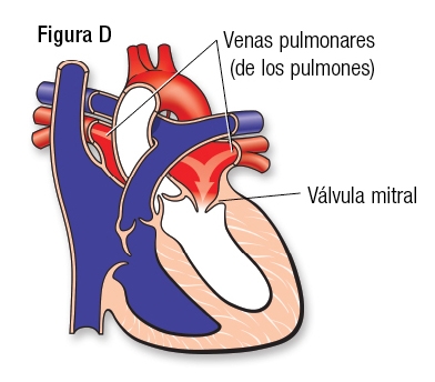  normál ábra D SP