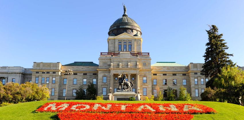 Advocacy