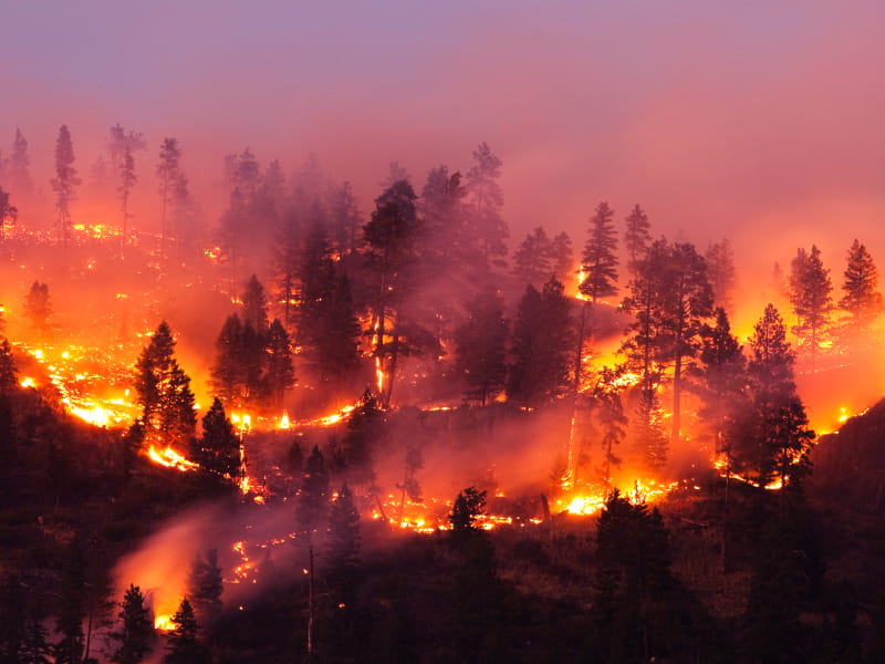 Patrick Orton, Getty Images