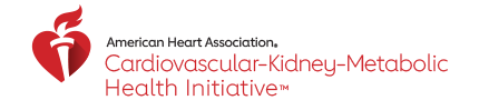 American Heart Association Cardiovascular-Kidney-Metabolic Health Initiative logo